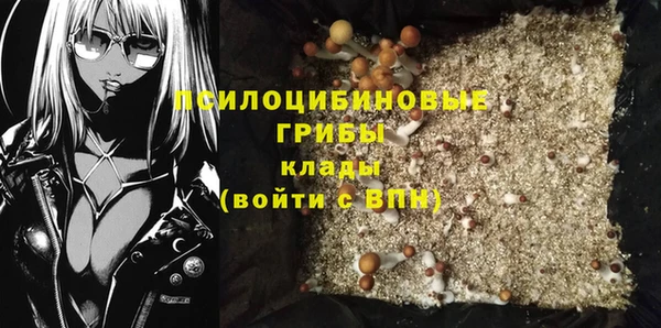 ГАЛЛЮЦИНОГЕННЫЕ ГРИБЫ Абинск