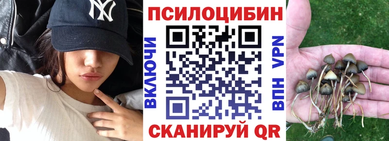 Псилоцибиновые грибы Magic Shrooms Осташков